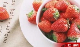 娱乐吃瓜酱草莓视频