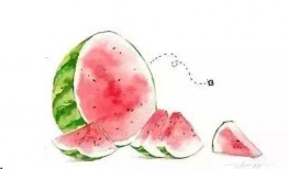 娱乐吃瓜教程,轻松吃瓜教程，让你轻松成为娱乐圈小达人