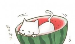 娱乐吃瓜头像图片图文,吃瓜群众眼中的明星幕后故事