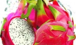 娱乐吃瓜火龙果视频,娱乐吃瓜盛宴，带你领略网络娱乐新潮流