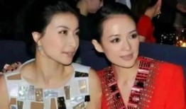 三胎吃瓜娱乐圈,明星家庭新篇章