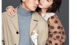 娱乐吃瓜前妻上节目,前妻节目大揭秘，情感纠葛引热议