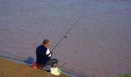 娱乐吃瓜钓鱼视频大全,全网热门娱乐吃瓜钓鱼视频大盘点