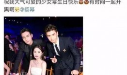 娱乐圈老板吃瓜视频下载,吃瓜视频背后的真相与幕后故事