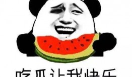 熟悉娱乐吃瓜群众的句子,揭秘明星幕后故事