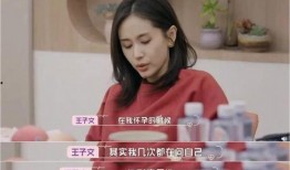 娱乐圈吃瓜婆是谁的孩子,揭秘其星途璀璨的起点