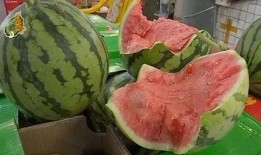 娱乐吃瓜教程,轻松吃瓜教程，让你轻松成为娱乐圈小达人