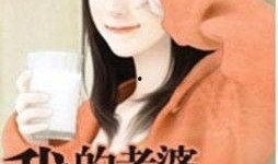 娱乐吃瓜的老婆小说