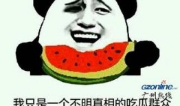 娱乐圈吃瓜群众的简介,揭秘明星幕后故事与八卦风云