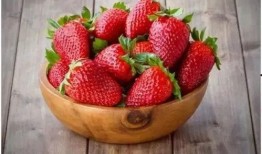 娱乐吃瓜酱草莓视频,娱乐吃瓜酱带你揭秘娱乐圈幕后故事