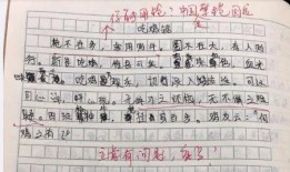 娱乐吃瓜酱仿写,揭秘明星们的幕后故事