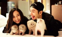 娱乐圈的吃瓜影帝梧桐落,娱乐圈吃瓜影帝的幕后故事