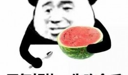 娱乐吃瓜酱管好自己吧,娱乐吃瓜酱的自律之路