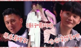 娱乐吃瓜酱的歌曲大全集,歌曲大全集，带你领略音乐盛宴