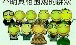 熟悉娱乐吃瓜群众的句子,揭秘明星幕后故事