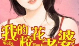 娱乐吃瓜的老婆小说