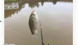 娱乐吃瓜钓鱼视频大全,全网热门娱乐吃瓜钓鱼视频大盘点