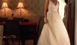 娱乐吃瓜酱婚纱,揭秘明星们的浪漫婚典瞬间