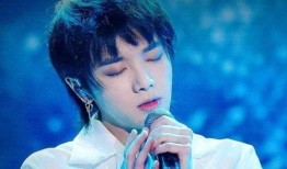 爱豆吃瓜娱乐酱华晨宇,爱豆吃瓜娱乐酱，揭秘明星背后的故事