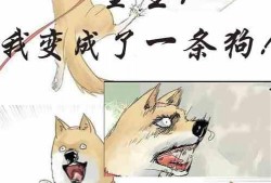 吃瓜娱乐原创小说,吃瓜娱乐原创小说背后的故事