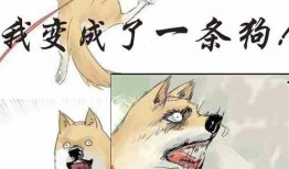 吃瓜娱乐原创小说,吃瓜娱乐原创小说背后的故事