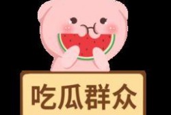 娱乐吃瓜模板免费下载,明星们的幕后故事大公开！