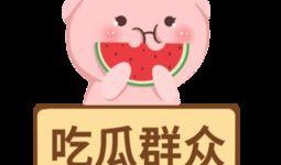 娱乐吃瓜模板免费下载,明星们的幕后故事大公开！