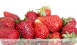 娱乐吃瓜酱草莓视频