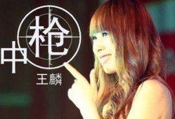 娱乐吃瓜酱的歌曲大全集,歌曲大全集，带你领略音乐盛宴