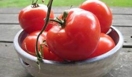 娱乐吃瓜蜀黍番茄娱乐